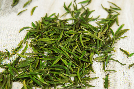 茶葉竹葉青綠茶