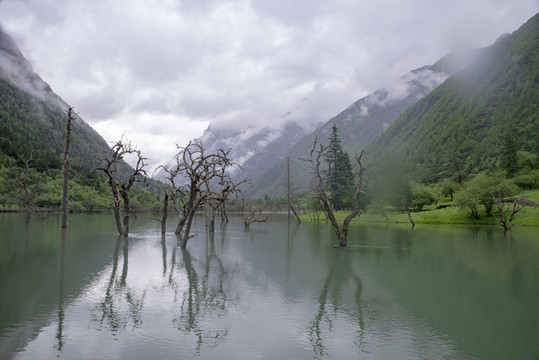 川西四姑娘山風(fēng)景大片