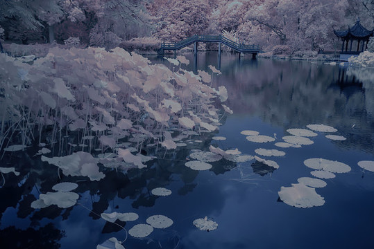 西湖風光