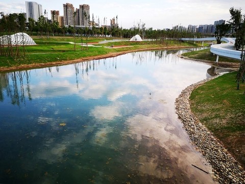 公園水景
