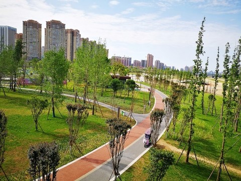 城市公園