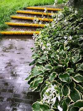 公園小景
