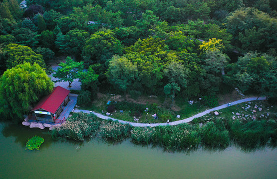 青島市李滄區(qū)李村公園