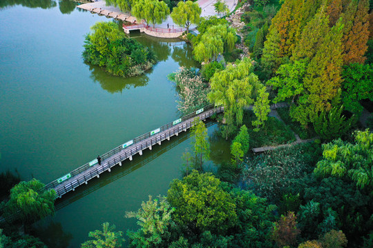 青島市李滄區(qū)李村公園