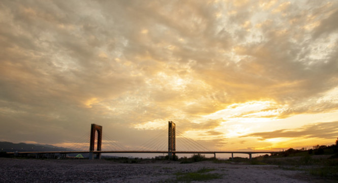 寶雞陸港大橋