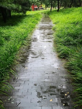公園