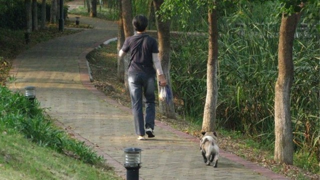 巢湖城市口袋公園之丁崗河公園