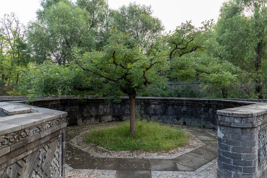 北京圓明園黃花陣迷宮