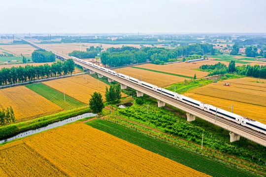 中國(guó)高鐵豐收農(nóng)田動(dòng)車(chē)動(dòng)