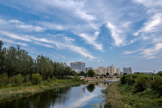 運河岸邊