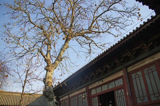 陜西西安碑林博物館建筑群