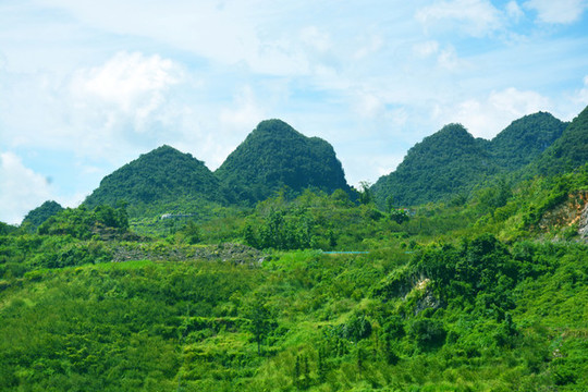 醉美鄉(xiāng)村
