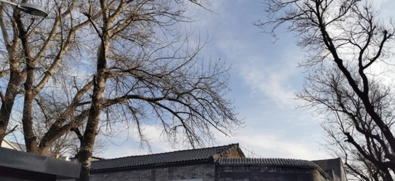 老北京胡同