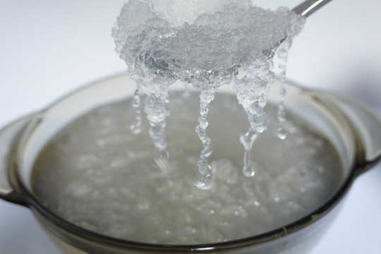 雪燕膠質(zhì)特寫