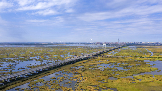 跨越濕地的哈大公路大橋