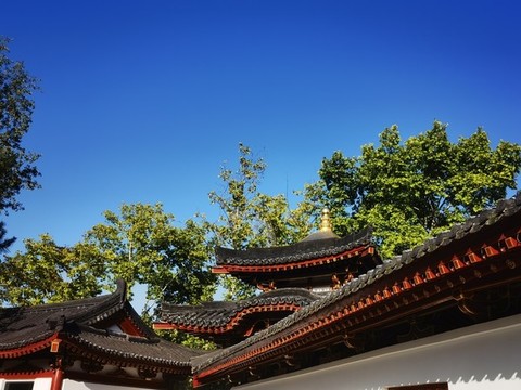 古寺攝影圖