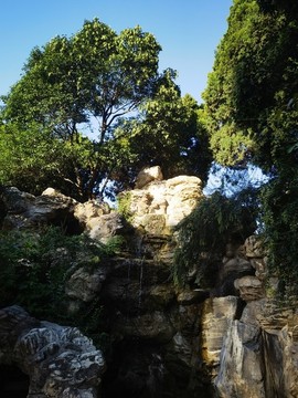公園假山攝影圖