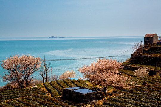 海邊