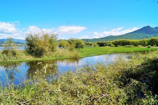 麗江拉市海濕地公園