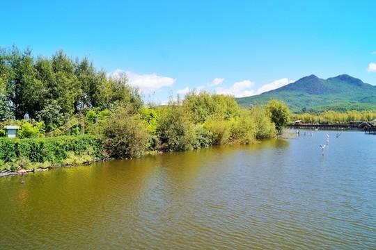 麗江拉市海濕地公園