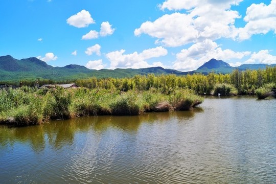 麗江拉市海濕地公園