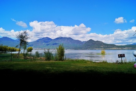 麗江拉市海濕地公園