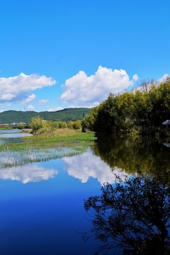 麗江拉市海濕地公園