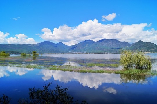 麗江拉市海濕地公園