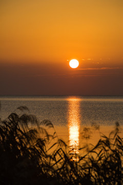 太湖日出景美如畫(huà)