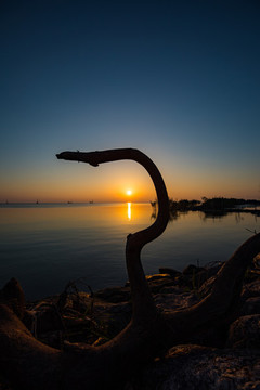 太湖日出景美如畫(huà)