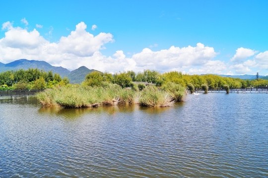 麗江拉市海濕地公園