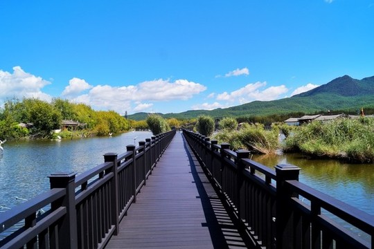 麗江拉市海濕地公園