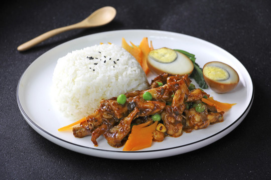 宮保雞丁飯