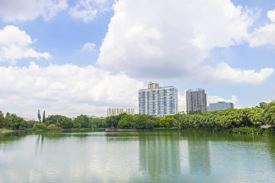 園林景觀