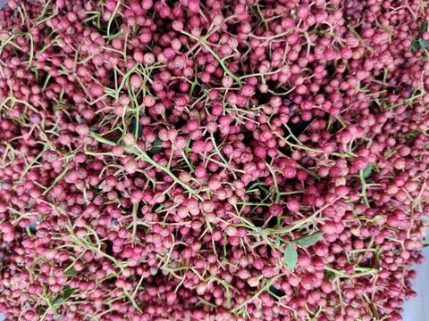 花椒