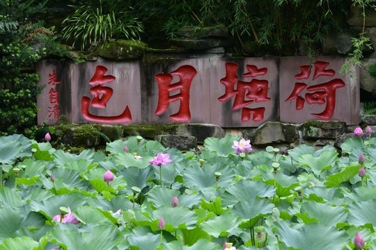 荷塘月色
