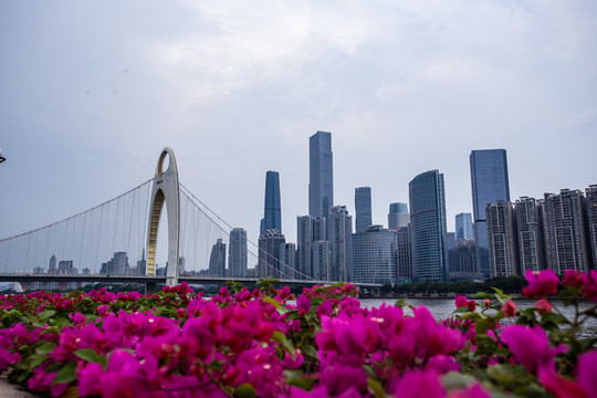 獵德大橋