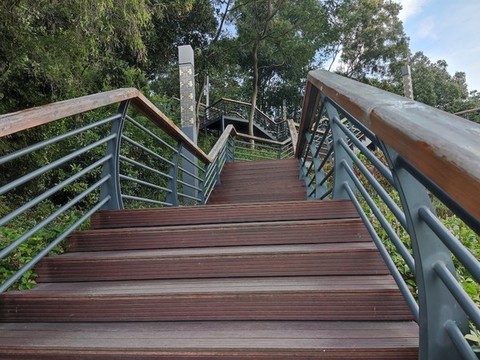 公園木梯
