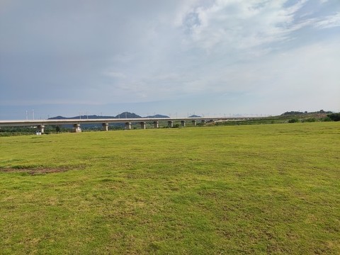 草坪