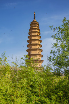 芮城圣壽寺
