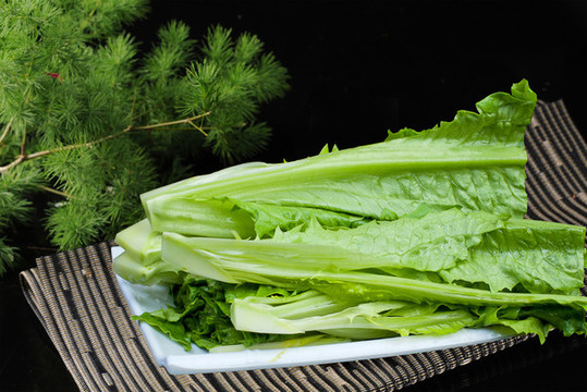 油麥菜