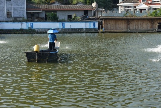 養(yǎng)魚場