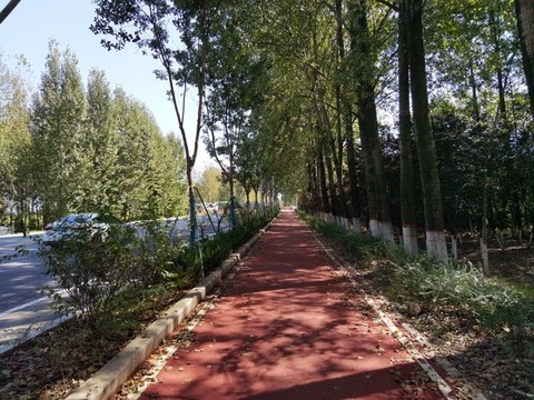 環(huán)山公路