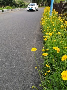 鄉(xiāng)村道路