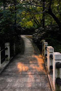 橋路