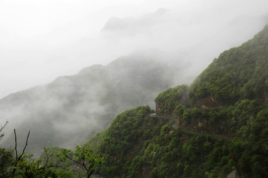 雨霧山道