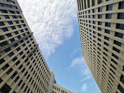 仰拍高樓