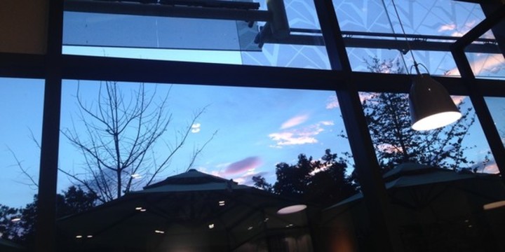 夜幕將至的藍(lán)色天空與樹(shù)枝