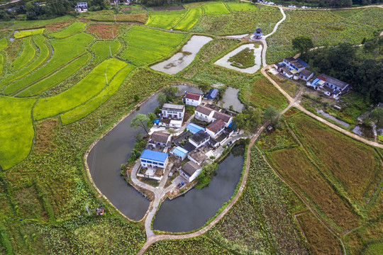 田野荷塘水塘圍繞著的村莊