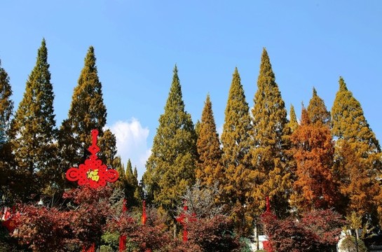江西井岡山